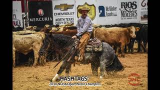 Hashtags and Tatum Rice 2018 NCHA Open World Champions