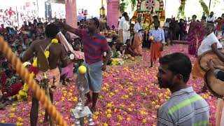 Vandavilai Sudalai Mada Swamy Kovil Kodai 2018 - 4