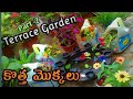 Terrace Garden Tour |  Part 2 | Beautiful Terrace Gardening Vlogs | Karthika's Gallery