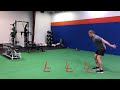 Continuous High Hurdle Jump w/stick