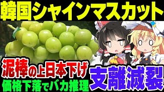 シャインマスカットをまともに生産できなくなった韓国、日本産の値段下落から日本下げに動く模様【ゆっくり解説】