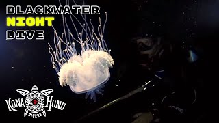 Black Water Night Dive - Scuba Diving Kona, Hawaii | Kona Honu Divers