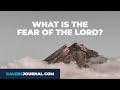 What does it mean to fear the Lord? | Proverbs 9:10