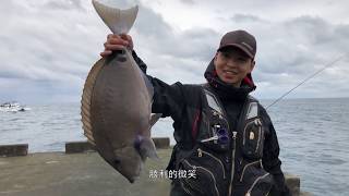 【Shore Jigging】Hualien Port East Dike Fishing Tour 2019/01/27 ﹝Barracuda army struck﹞