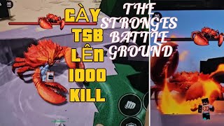 CÀY TSB LÊN 1000 KILL/ THE STRONGEST BATTLE GROUND || BELLA VIETSUB