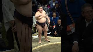 #王鵬 #令和6年大相撲初場所十三日目 相撲 #sumo