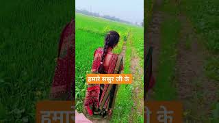 मेरे ससुर जी के तीन विषय खेतवा#song #वायरलsong #💃