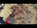 БЬЕМ РЕКОРДЫ Не битое место заработок metaldetecting копарь коп металлокоп hunting котокоп