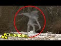 5 animais mutantes de CHERNOBYL gravadas em câmeras