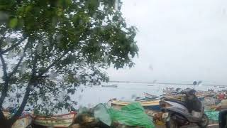 Kollam vaadi fish market view