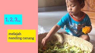 Belajar nanding canang, isap jepol || Dwayu Hita nanding canang || Canang Bali || Anak 3 tahun