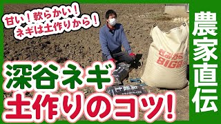 ネギ農家さん直伝！家庭菜園や農園でネギ栽培土作りのコツ！3月から栽培準備して甘くて柔らかいネギの育て方を徹底解説！【農家直伝】