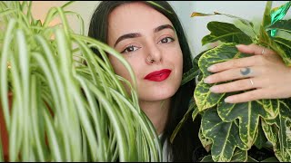 ASMR Chatting w You \u0026 Petting My Plants for 40 Mins (Soft Spoken)