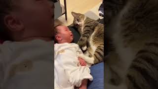 🥰 Funny Cats New Compilation 🚩 EP - 609