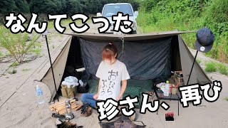 【軍幕夫婦のソロキャンプ】なんてこった！！みんな大好き「チンサン、キタヨー！」