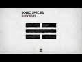 Sonic Species - Flow Rider