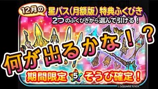 【星ドラ】星パスふくびき12月分引いてみました！