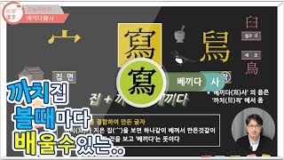 [하루한자] 베끼다寫사 | 까치 집을 볼 때마다 배울 수 있는 | 한자공부 | 한자부수