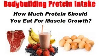 Optimal Protein Intake for Bodybuilders