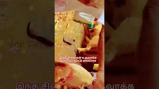 சேலம் மாவட்டம் ஓமலூர் சின்ன திருப்பதி கோவில் பொரியடிச்சி அம்மன்