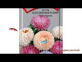 Астра королевский Смесь окрасок smes okrasok 🌿 обзор как сажать семена астры Смесь окрасок