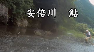 安倍川上流、平野