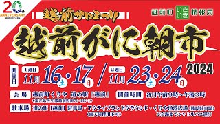 越前町いきいき情報局「福井県一のかにのイベント　越前かにまつり・越前がに朝市２０２４」（令和６年１０月２６日放送）