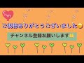 岩手県盛岡市の「ドーミイン盛岡　さんさの湯」の夜鳴きそばと豪華朝食