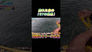 独特な魚のリリース方法⑬ｗ#shorts #釣り #ショアジギング