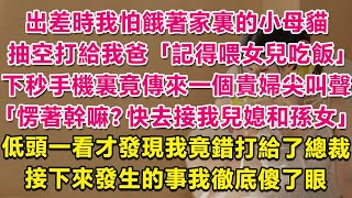 出差時我怕餓著家裏的小母貓,抽空打電話給我爸：記得喂女兒吃飯。下秒手機裏竟傳來一個貴婦的尖叫聲：愣著幹嘛？快去接我兒媳和孫女！低頭一看才發現我竟錯打給了總裁，接下來發生的事我徹底傻了眼！ | 甜寵