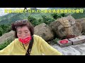 意能人神台領母旨 每週六日10點母娘靈乩歡迎您嘉義縣中埔鄉中崙村40之8號崑崙山瑤池宮0937618850崑崙泓師