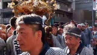 浦和まつり　みこし渡御　本太四丁目祭礼の神輿　２０１６．７．２４