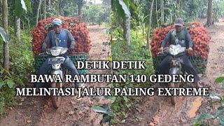 MENGERIKAN BAWA RAMBUTAN 140 GEDENG MELINTASI JALUR PALING EXTREME