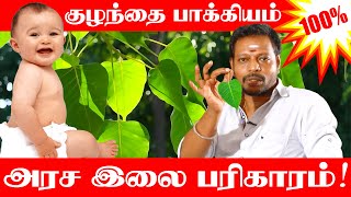 Kulanthai Pakkiyam Pera Pariharam in Tamil  | குழந்தை பாக்கியம் பெற | Arasa ilai Pariharam