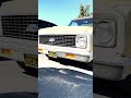 1969 chevrolet c10 stepside pickup truck shorts donndolly2_ai