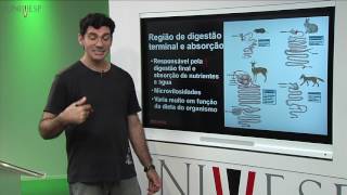 Zoologia dos Vertebrados -  Aula 18 - Forma e função dos animais