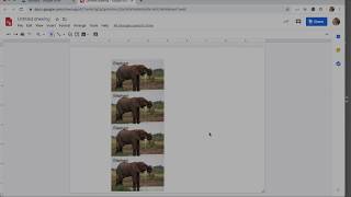 Creating multiple text box images in Google Drawing