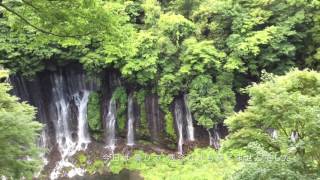 富士 白糸の滝〜白糸自然公園