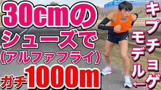 【検証】30cmのアルファフライを履いてガチで1000m走ったら普通のサイズと比べて辛いのか【マラソン】【ナイキ】