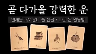 [타로카드/행운타로] 운이 나에게 가져다 주는 선물