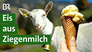 Ziegenmilch: Wie schmeckt sie im Eis? | Ziegenhaltung | Landwirtschaft | Unser Land | BR