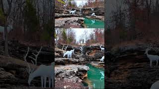 ആകാംഷ നിറഞ്ഞ ഗുഹ യാത്ര #cave #canyon #usa #malayalam #vlog #missouri #arkansas #topoftherock