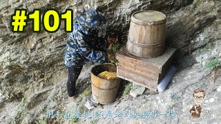 #101 Put barrels into mountains. Let Chinese bees grow by themselves. Only produce 30kg honey a year