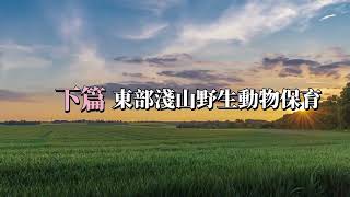 東部淺山野生動物保育-下篇(章節字幕版)