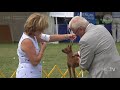 live tuxedo park kennel club all breed show