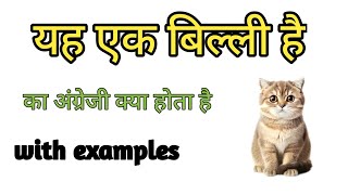 यह एक बिल्ली है को इंग्लिश में क्या कहते हैं | Yah ek billi hai ki english  | Yah ek billi hai