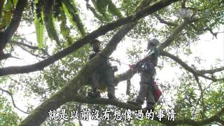 【發現】20140816 - 攀上森林的頂端 - 看見樹冠層