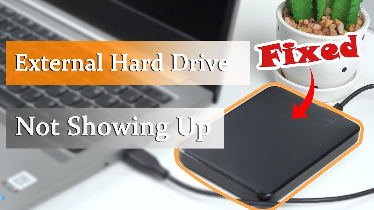 How To Fix External Hard Drive Not Showing Up In Computer - YouTube