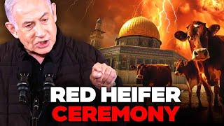 Netanyahu JUST ANNOUNCED Red Heifer Ceremony in MAY 2024!