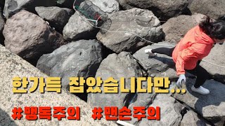 통발에 드디어 가득 잡혔습니다./제주도 골치덩어리들 /내통발에 걸리지말아다오!!!